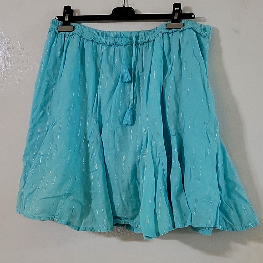 Crown & Ivy blue skirt